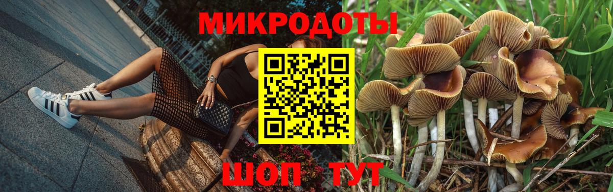Волгодонск  Псилоцибиновые грибы мицелий  Вход с VPN 